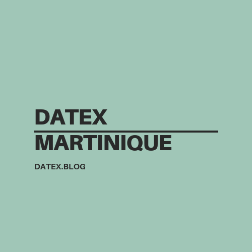 datex-martinique-muriel-palandri (8)