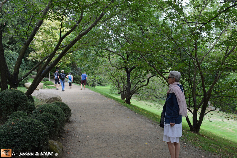 PAT_0911 Parc Oriental de Maulévrier