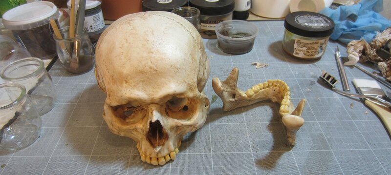 14-crane-humain-moule