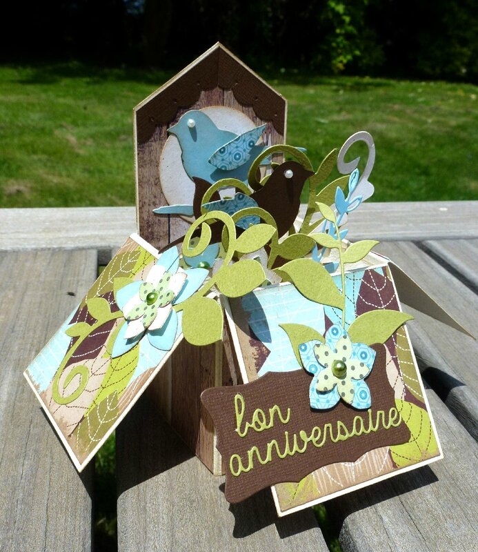 Carte-3D-oiseaux1