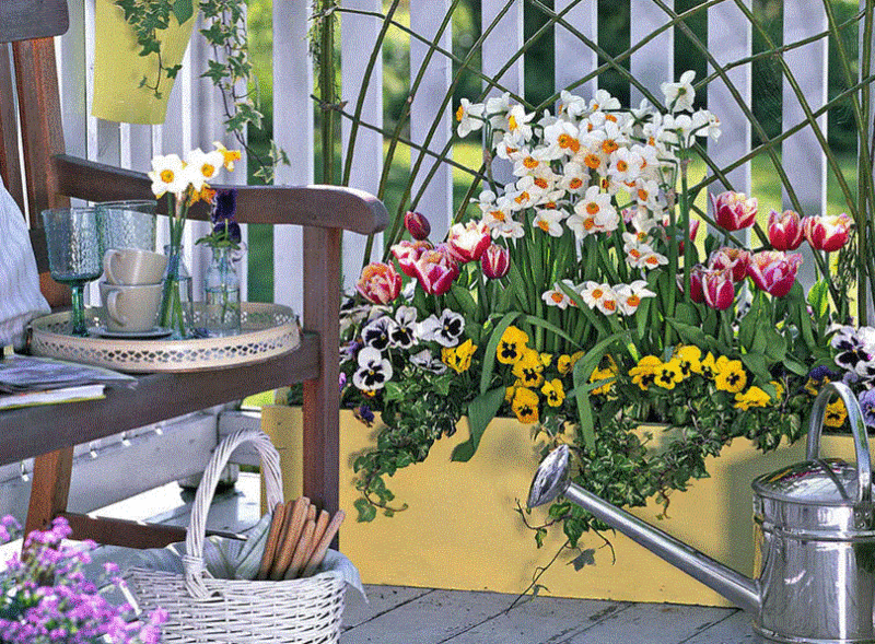 terrasse01