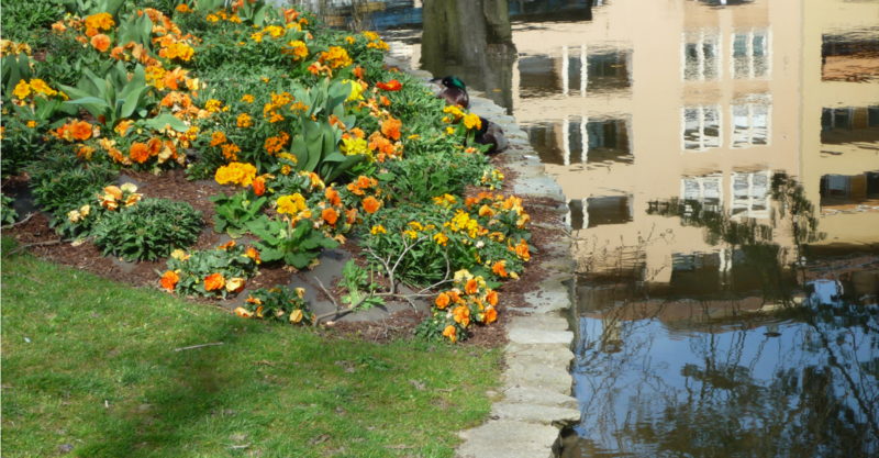 LE PRINTEMPS AU JARDIN DE VILLE DE VIENNE LE 20 MARS 2014 -SUITE 1