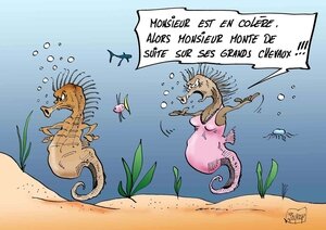 HIPPOGUEULE-COUL