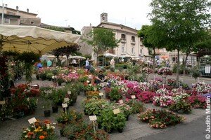 marche_aux_fleurs