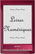 logo livre numérique