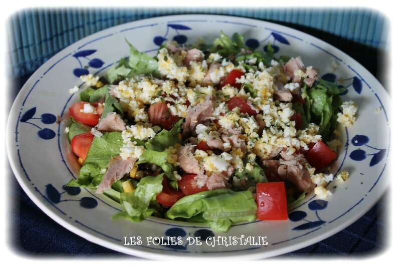Salade de lentilles au thon 4