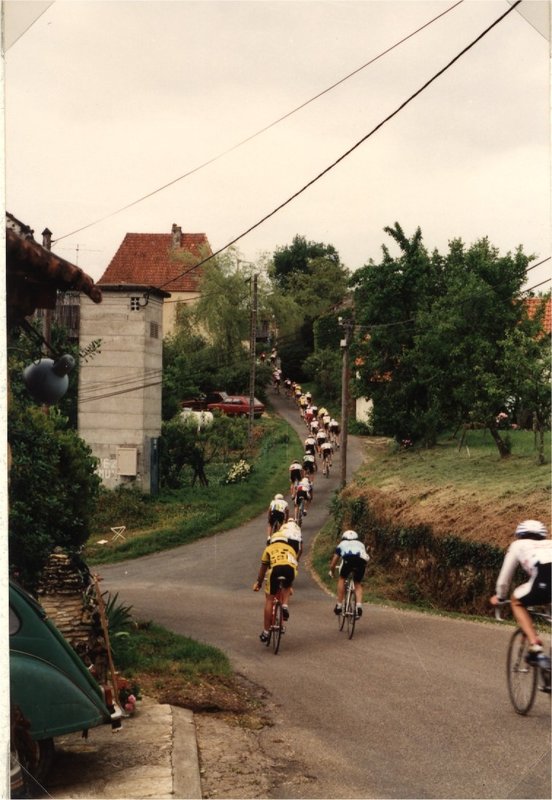 Calès 1991