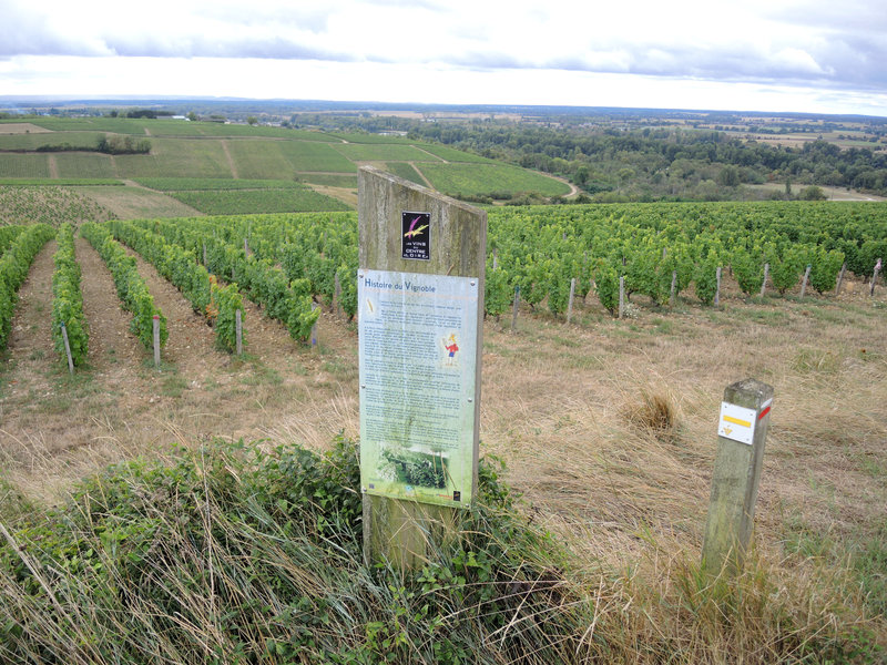 Pouilly-sur-Loire, de Loire en vignes, la Loge aux moines, histoire de vignes (58)