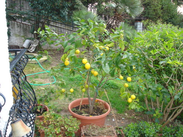 DSC01073