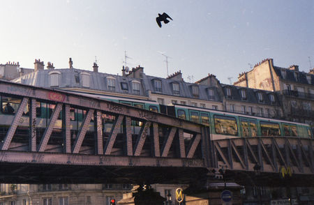 vol_pigeon_metro_Paris_2009
