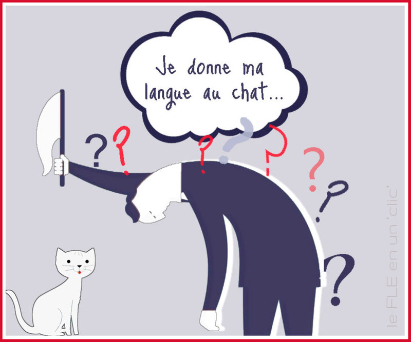 je donne ma langue au chat2