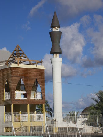 IMGP016