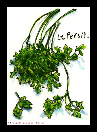 _le_persil