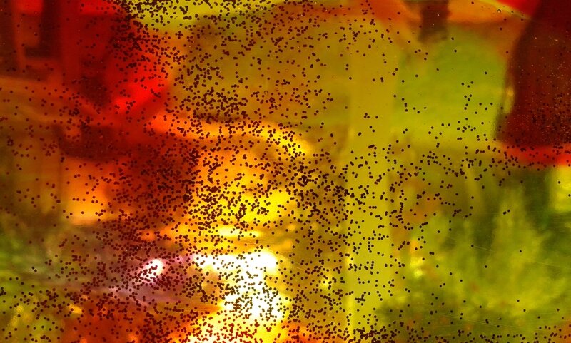 130_Techniques et astuces_ Ardoise magique en gel (34)