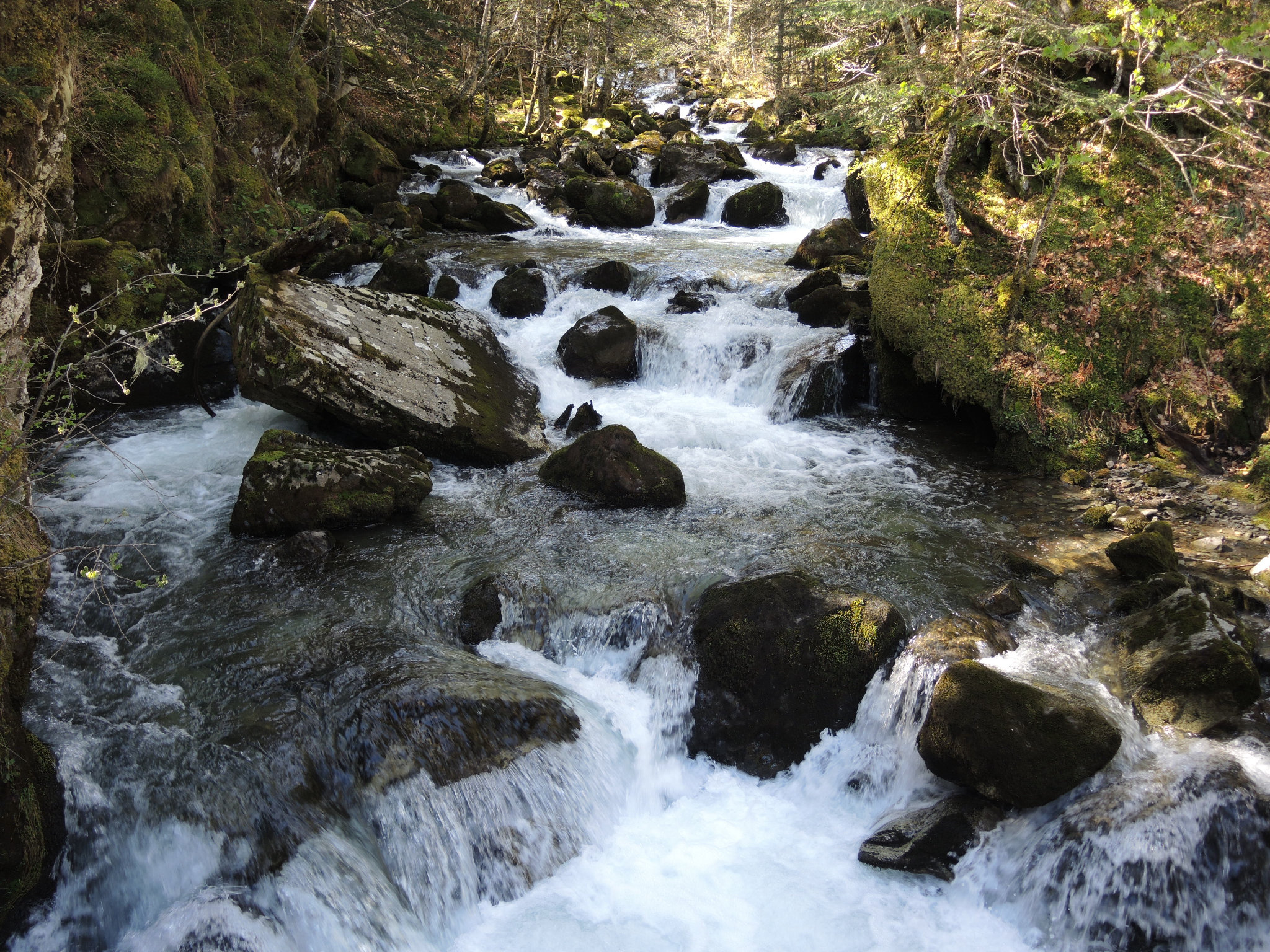 Lacs d'Ayous, première cascade, Gave de Bious (64)
