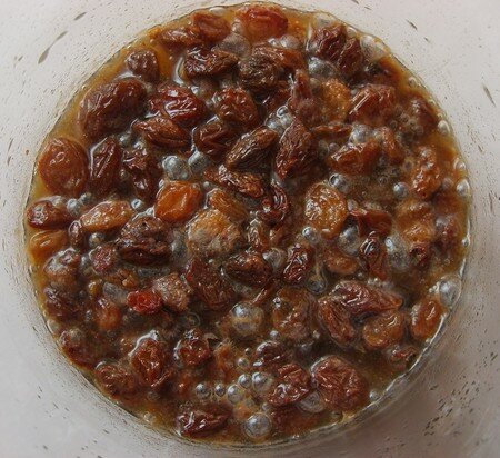 Levain_aux_Raisins_Jour_3