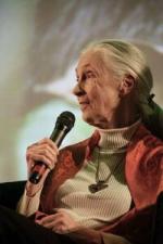 Jane Goodall