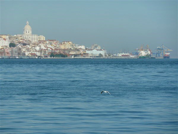P1020655