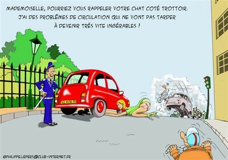 humour_coquin_25_chat_m_emeut