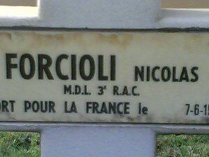 NDL_FORCIOLI_N