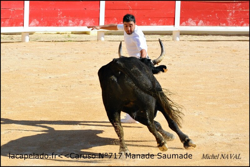 LES ST MARIES LE 10 04 2016 SAUMADE-13