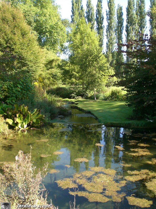 Cours d'eau encadré de végétation.