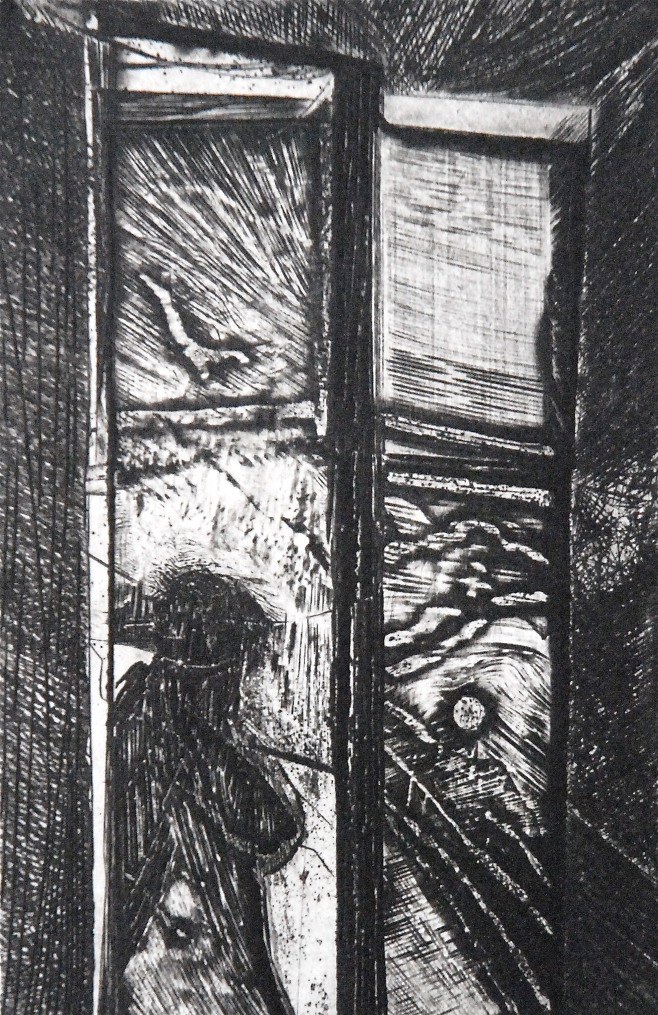 BG1_0232