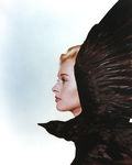 tippie_hedren_1962_by_halsman_for_the_birds