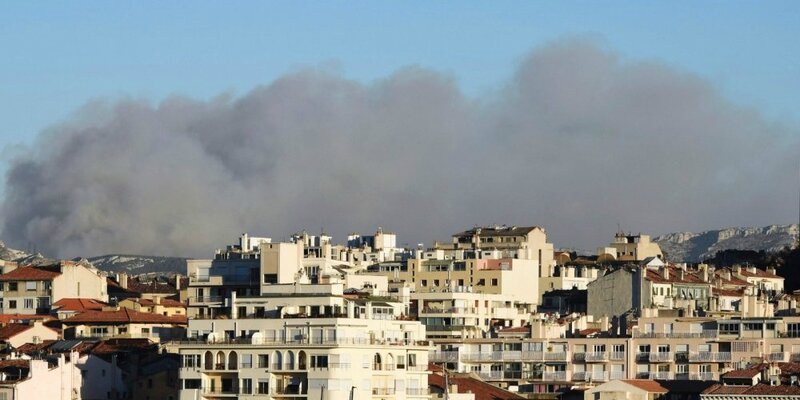 Plus d'un millier d'hectares