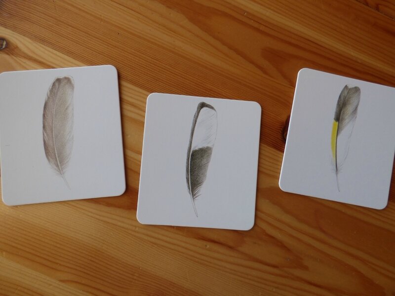 Coffret Montessori oiseaux (6)