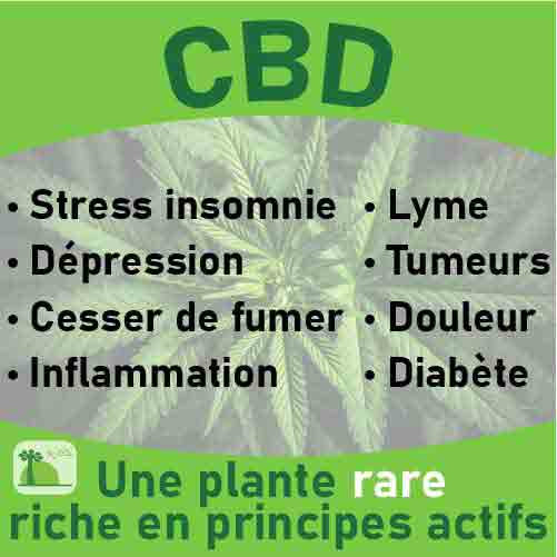 CBD-baomix-laboratoire-biologiquement-phytotherapie-traitement-therapeutique-plantes-medicinales