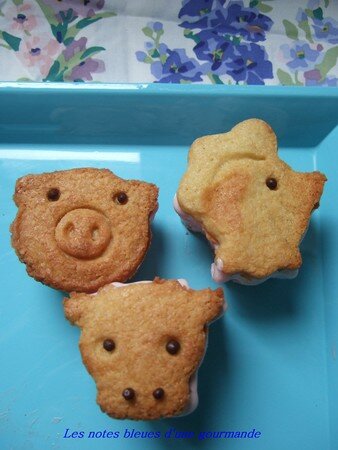 Sandwichs glacés d’animaux biscuités recettes GATEAU DIEGO ET ANIMAUX
