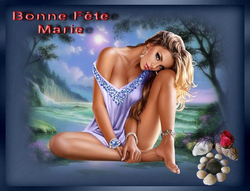 bf marie plage3