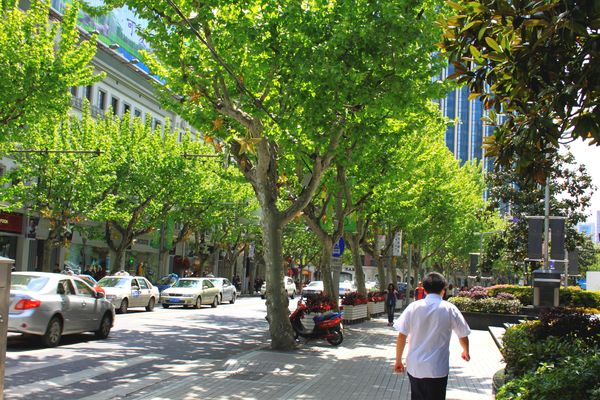 Nanjing Road (avenue) (5)