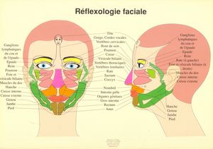 reflexologie