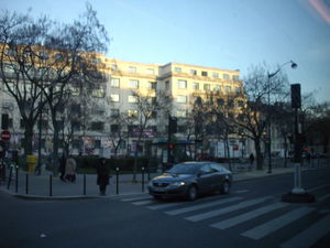 IMGP3560