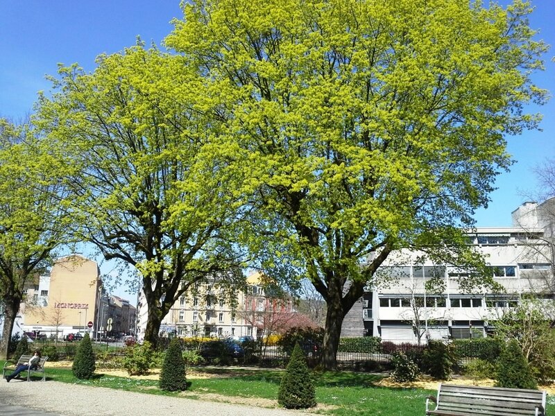 20180417_133337