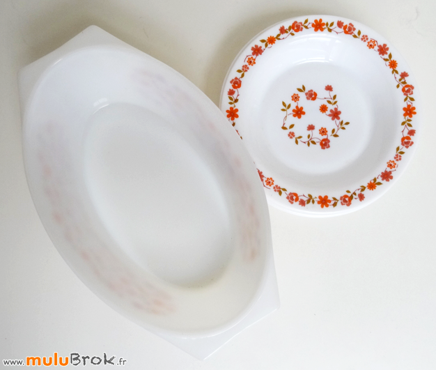 Plat-ovale-SCANIA-arcopal-1-muluBrok-Vintage
