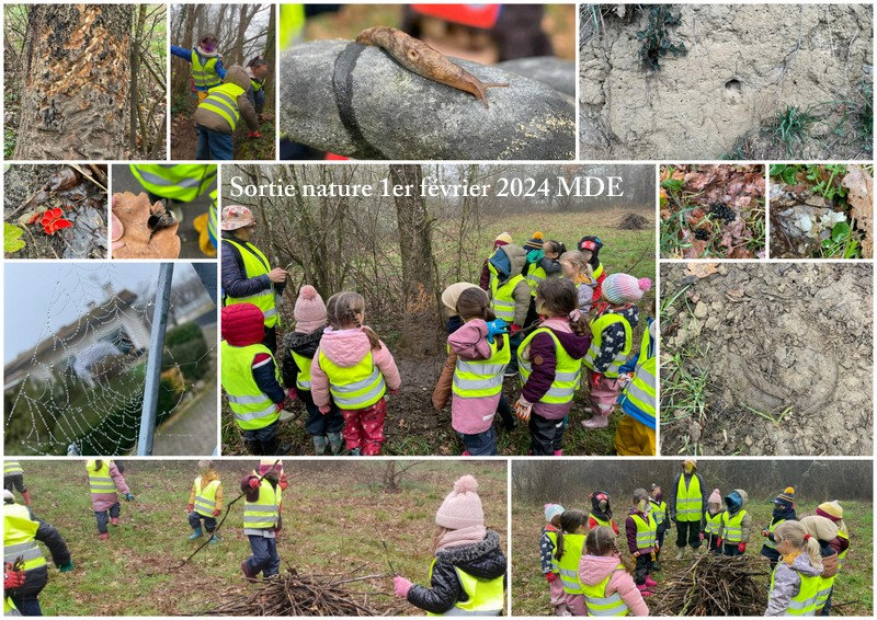 sortie nature 01 02 24