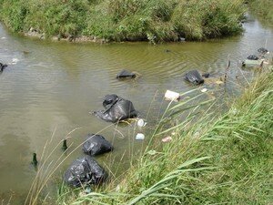 PhotoPollutionCabourg