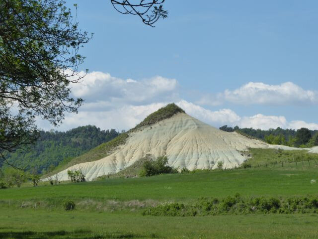 a13