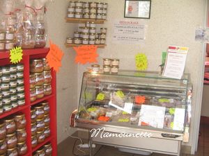 Cailles_de_la_Vall_e_de_la_vie___Mach___leveur_et_producteur_002