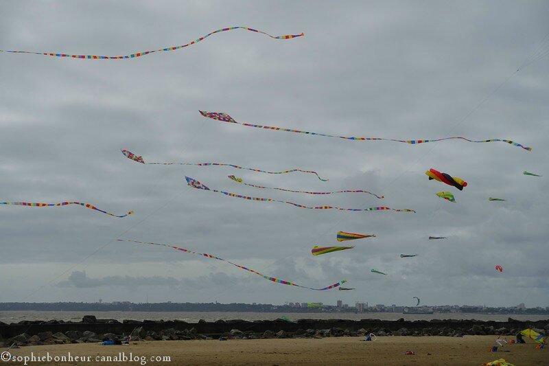 cerfs volants