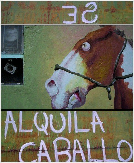 caballos