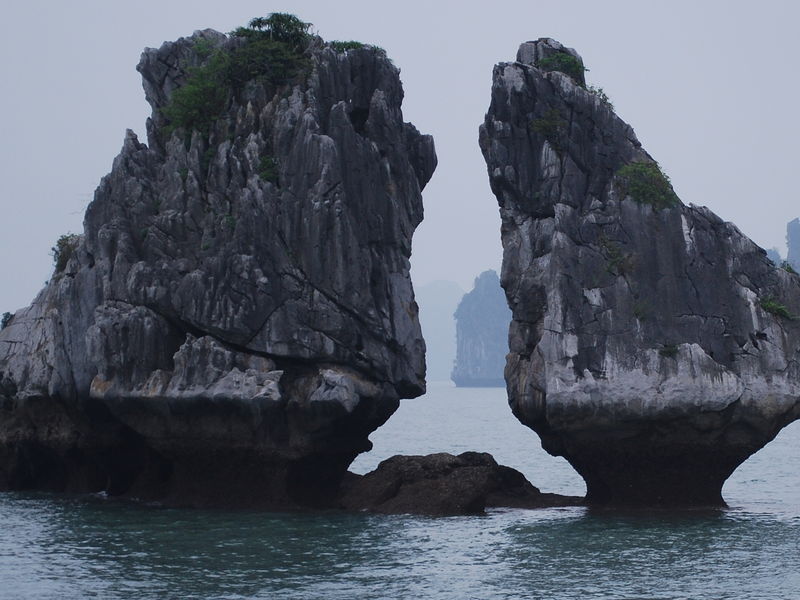 Combat_de_coqs__baie_d_Halong