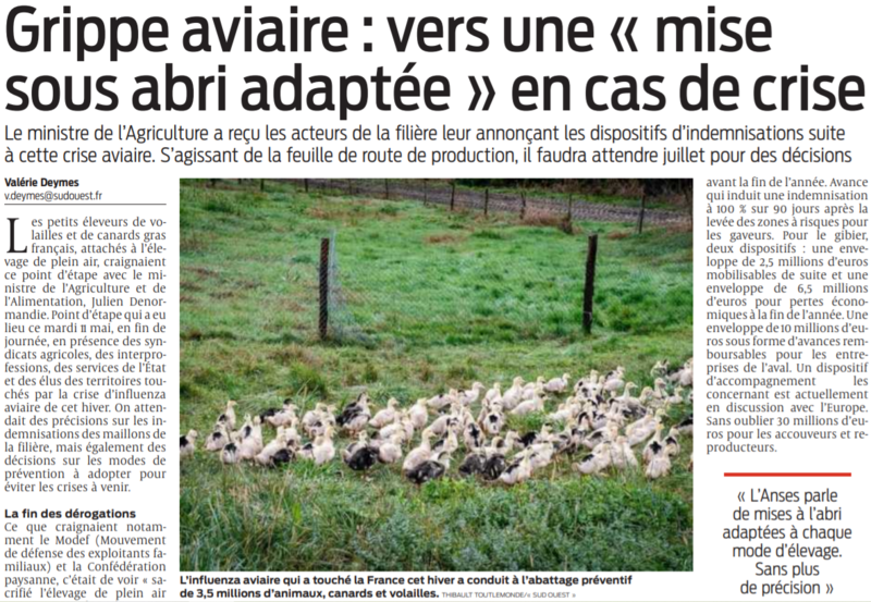 2021 05 13 SO Grippe aviaire vers une mise sous abri adaptée en cas de crise