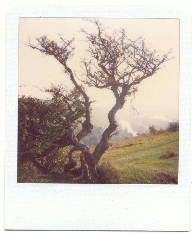 photo d'antoni carneiro
