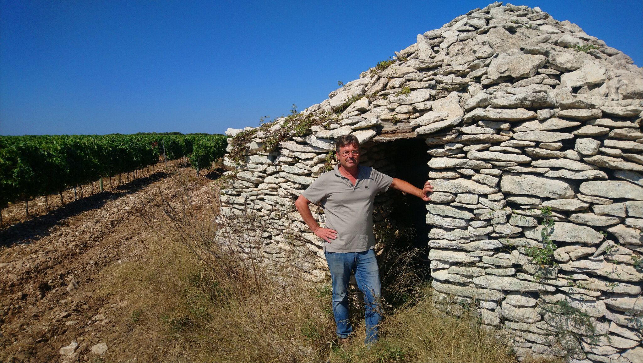Canarelli