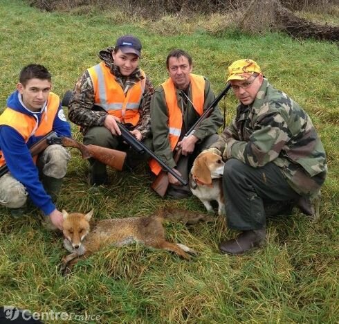 renard régression