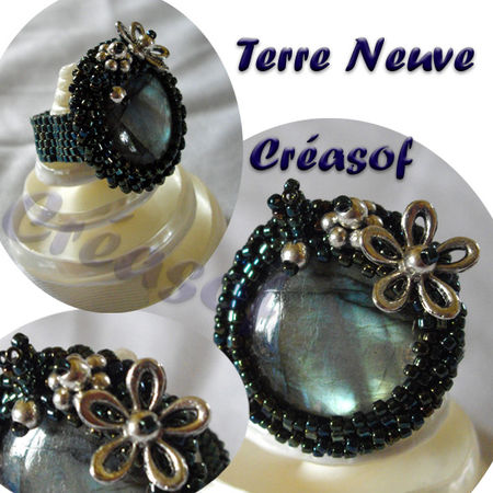 bague_terre_neuve